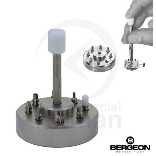 Imagen de Útil Bergeon para colocar agujas - 5378