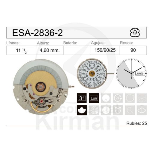 Imagen de Movimiento de pulsera mecánico automático ETA 2836-2