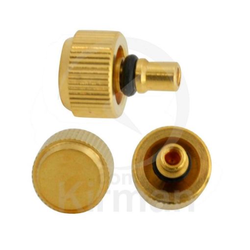 Imagen de Corona sumergible con cuello dorada R80 Ø 3.00 T 160 mm