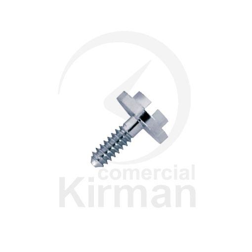 Imagen de Tornillo cromado para pasador roscado