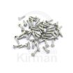 Imagen de 100 TORNILLOS PARA HUBLOT