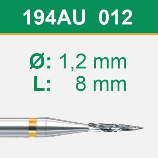 194AU012