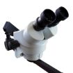 Imagen de  Microscopio binocular estereoscópico 7x 45x