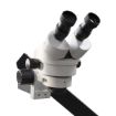 Imagen de  Microscopio binocular estereoscópico 7x 45x